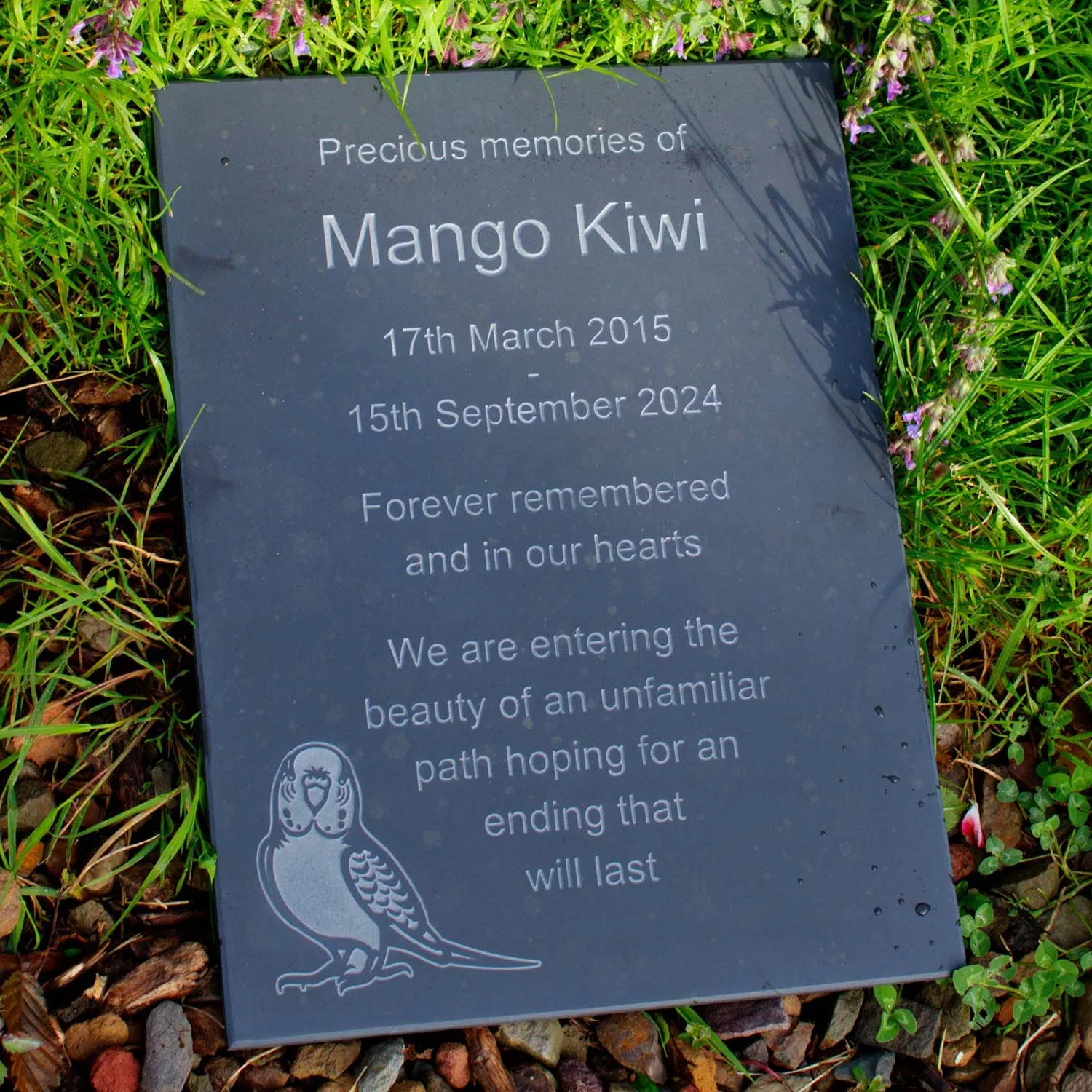 Lasered Etched Plaque