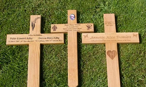 A selection of oak crosses