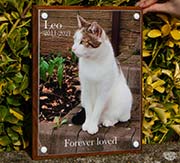 Full colour cat memorial.