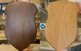 Taxidermy and award shields made to any size. Taxidermy and Award Shields.