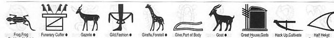 More Egyptian Hieroglyphs