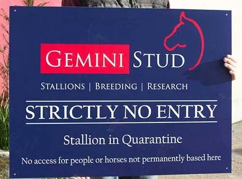 Red and White Vinyl Lettering