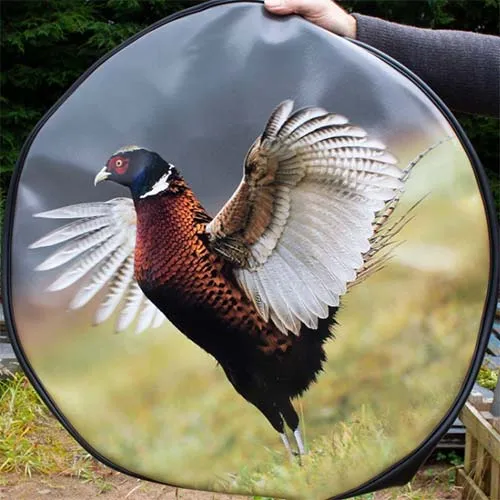 Pheasant