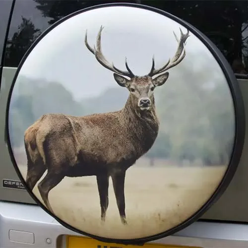 Stag