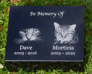 Photos etched into dark granite.