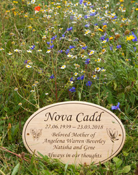 Natural Funerals and Eco-Friendly Burials