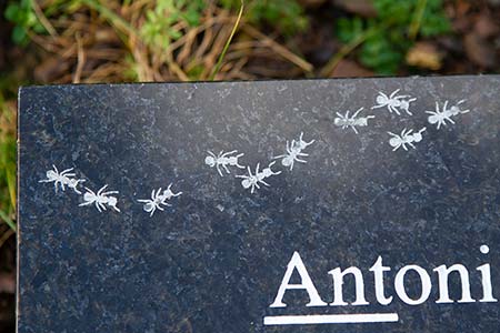 The ant images were created by our impact engraver into granite surface