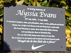 Small engraved text is possible on these plaques. Small engraved text is possible on these plaques.