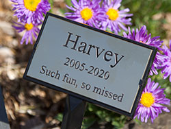 Brass plaque inset into an all-in-one plaque holder. Brass plaque inset into an all-in-one plaque holder.