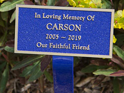 Bronze memorial on a tree stake.