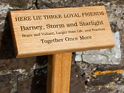 Wooden memorial on a posts for three pets. Wooden memorial on a posts for three pets.
