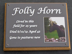 Full colour photo inset into engraved corian plaque.