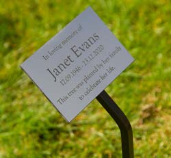 Wrought iron tree stake with backing board. Wrought iron tree stake with backing board.