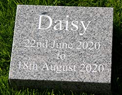 Celtic grey grante memorial with white text. Celtic grey grante memorial with white text.