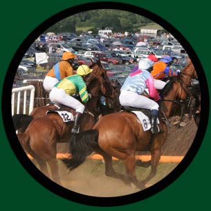 Horse Racing