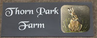 Slate house sign with hand painted image.