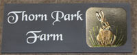 Slate house sign with hand painted image. Slate house sign with hand painted image.