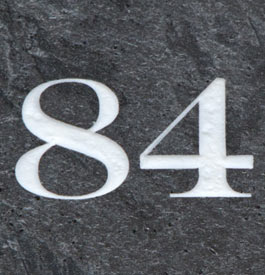 Silver nickel slate number