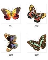 Image Library - Full Colour Bugs & Butterflies Images for signs and memorials