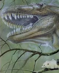 Image Library - Full Colour Dinosaur Images Images for signs and memorials