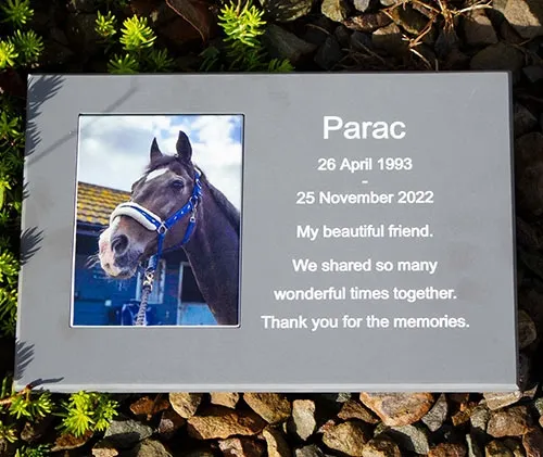 The ToughPrint photo is inset into stone-like corian Full Colour Photo Plaque