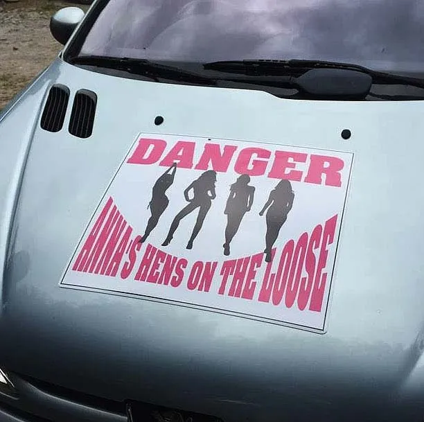 Ideal for temporary car signs. Fun Magnetic