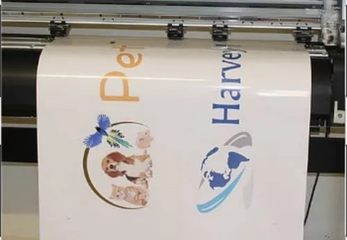 Printed Image on Vinyl