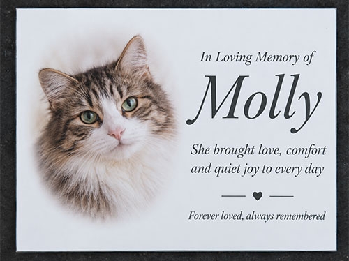 Full Colour Memorial Plaque