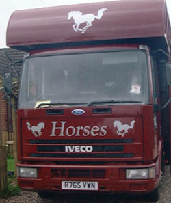 Horse box showing ome of our horse images