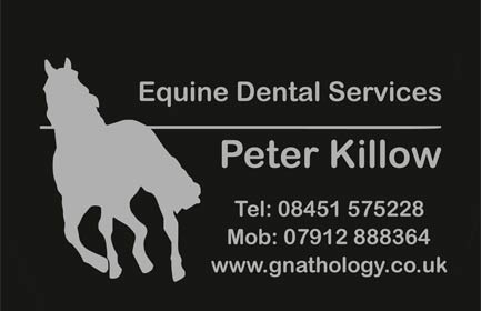 Equine Dental Services Magnetic Sign