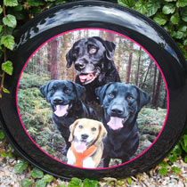 Full colour blended dog wheel cover.