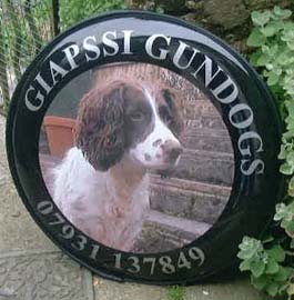 Gun Dog