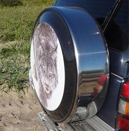 Stainless steel wheel cover